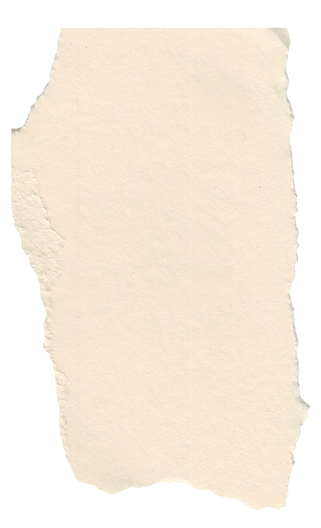 撕紙毛邊紙片 紙張邊緣效果的創(chuàng)意魅力